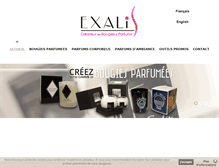 Tablet Screenshot of exalis.fr